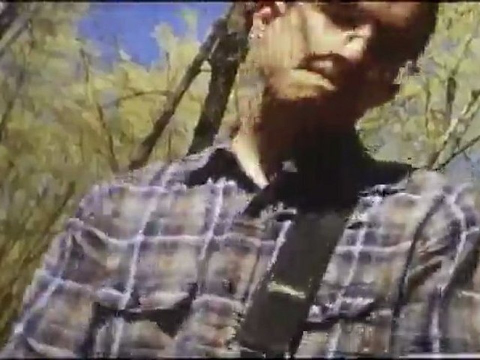 Title Fight - Shed
