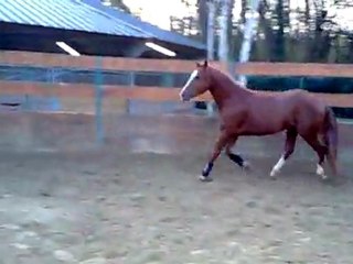 Nutty en liberté, 1 [29/11/2011]