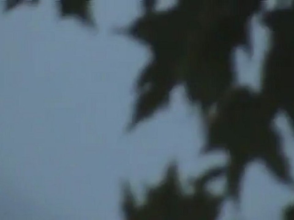 UFO . 2011