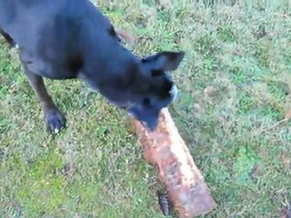 bûche3