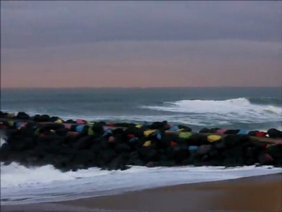 surf report du matin