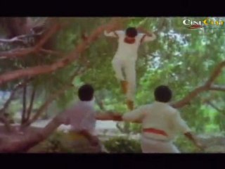 Action Scene From Thakur Bhavani Singh