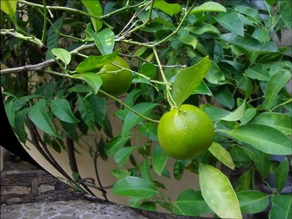 GASSIN village classé