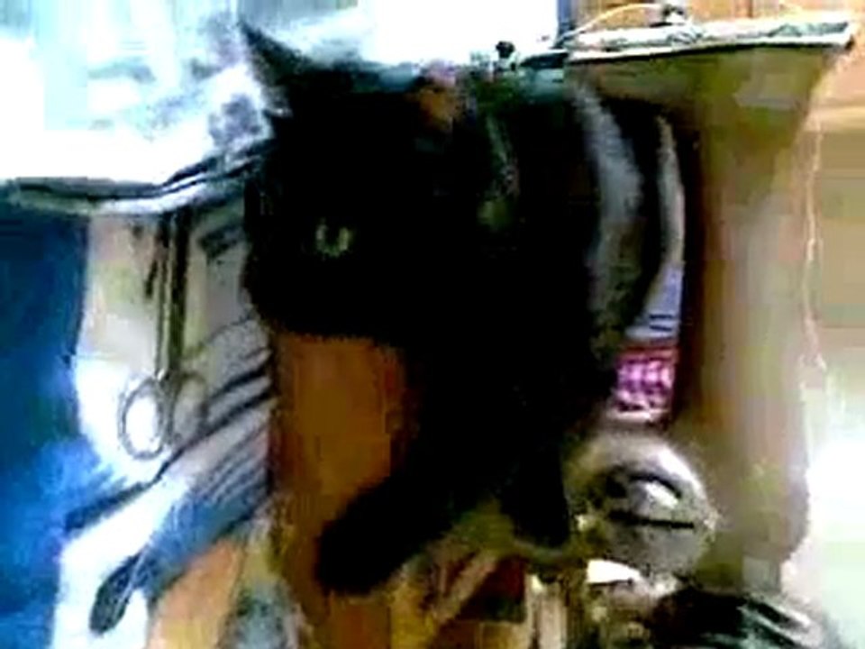 169_convertedvideo_425