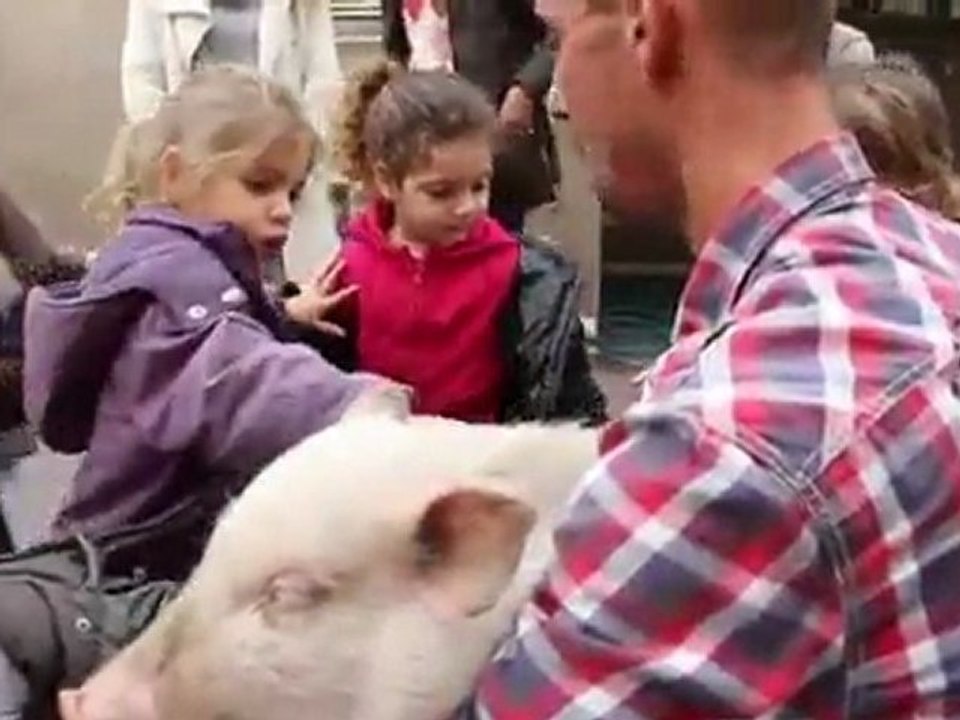 Visite De La Ferme Aux Animaux Au Gan-Ami