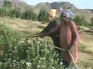 Mans Unides - Conflicte Part 1