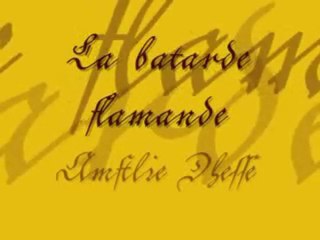 batarde flamande novembre 2011