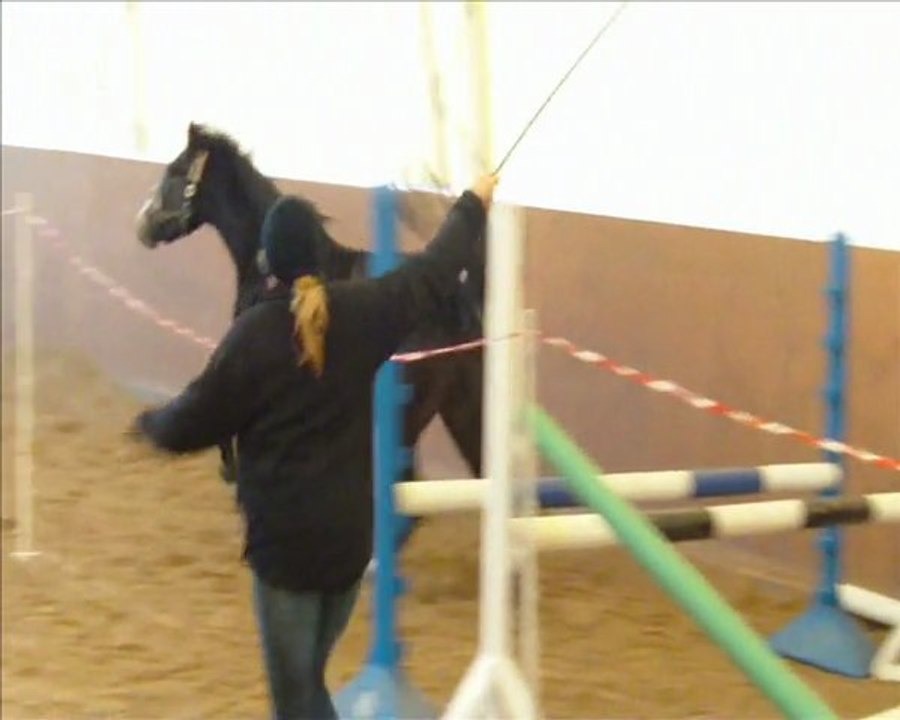 Louis' drittes freispringen - fireflies