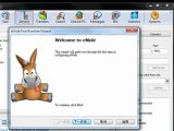 eMule Filesharing Program (How to use it)