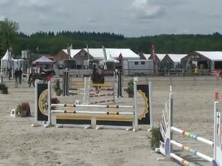 Paladin du Repaire et Gwennaëlle Lopez Championnats de France Lamotte Beuvron 2011 Club 1