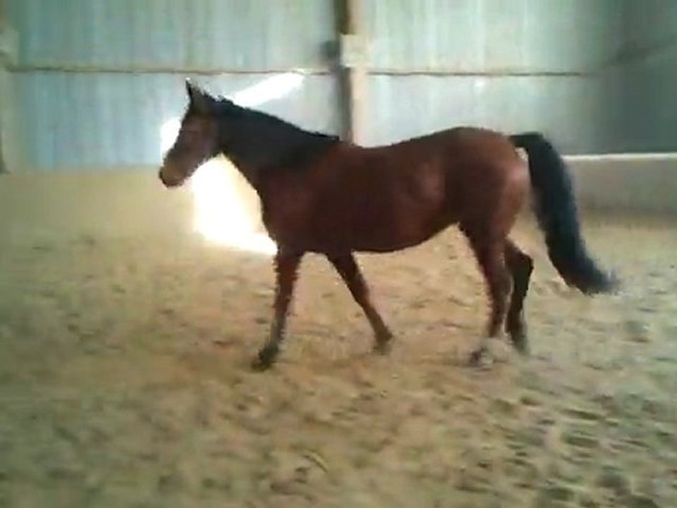 video-2011-11-30-14-33-22