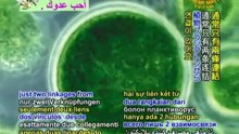 Harmful Algal Blooms: Devastating Domoic Acid – P1/2