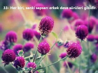 Murselat Suresi