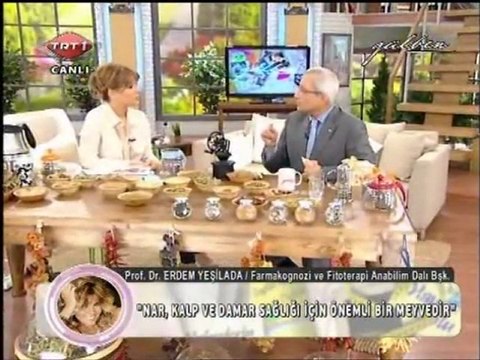 GÜLBEN - Prof. Dr. Erdem Yeşilada ile Bitki Çayları 30.11.11