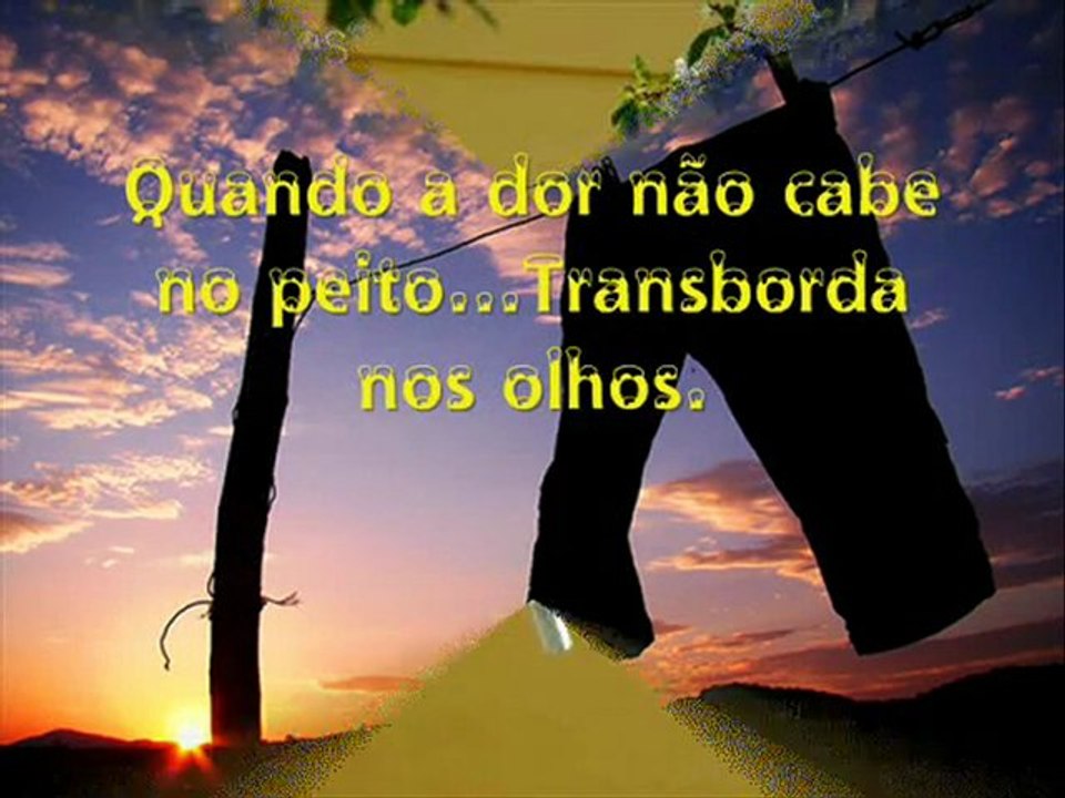 CHÃO DE ESTRELAS