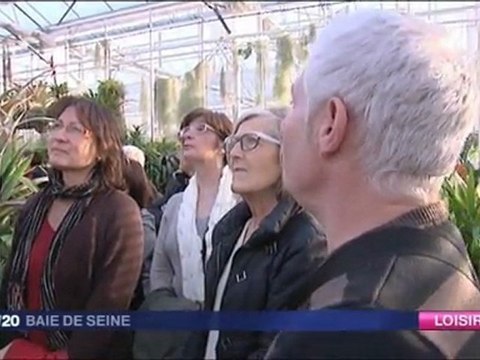 Loisirs : les serres à l'honneur...aux jardins suspendus du Havre