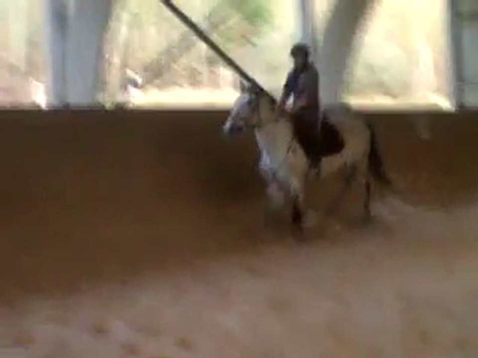 75cm Qualin (touche)