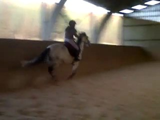 75cm Qualin (mauvaise qualité)