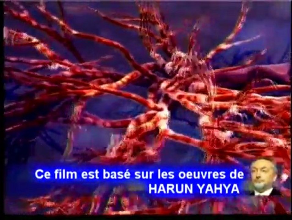 Islam - Le miracle de la respiration