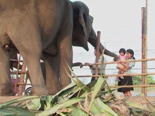 Nach dem Hochwasser: Das große Aufräumen in Thailand