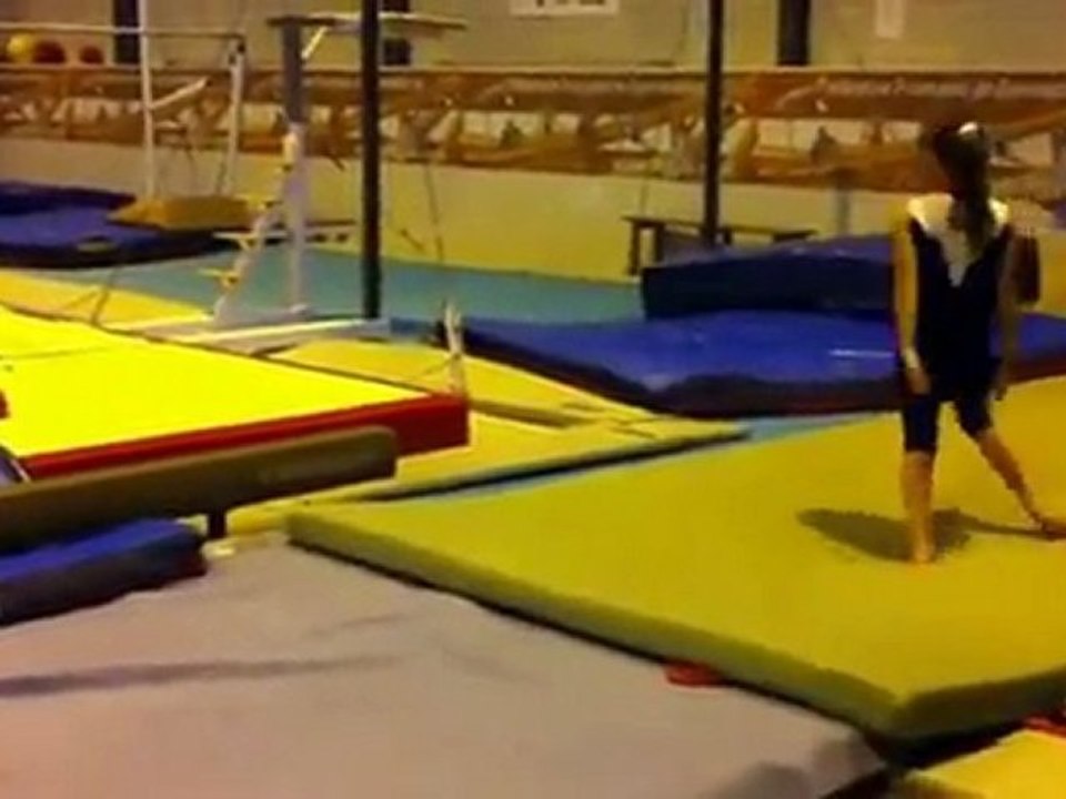 Video GAP 2011