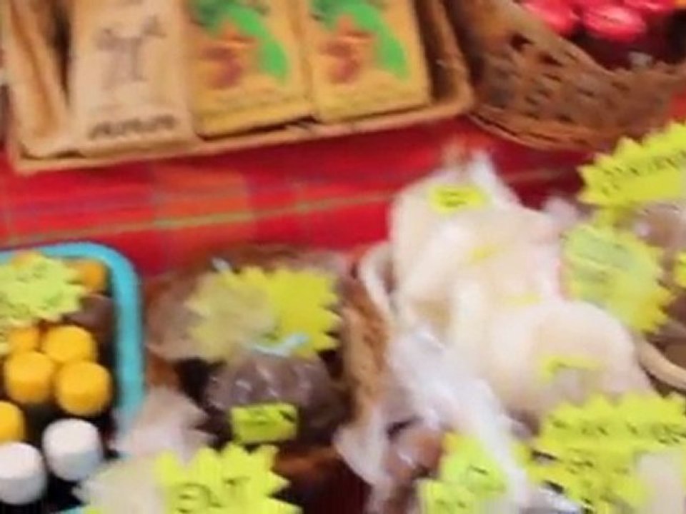 Récit d'un voyage en Martinique