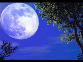 BİR TUTAM IŞIK_Osman Aktaş