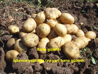 URFASEVDAM  AŞIK VEYSEL KARA TOPRAK