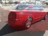 Used 2008 Ford Mustang Goldsboro NC - by EveryCarListed.com