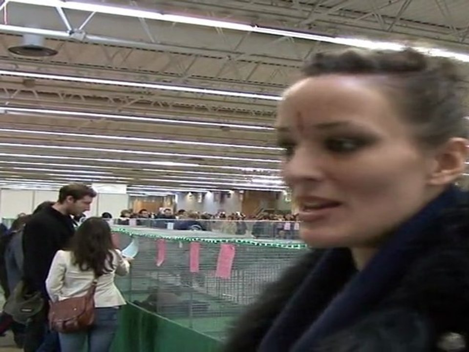 Reportage - Interview Kelly Bochenko - Salon adoption des animaux - By Actu-mag.fr
