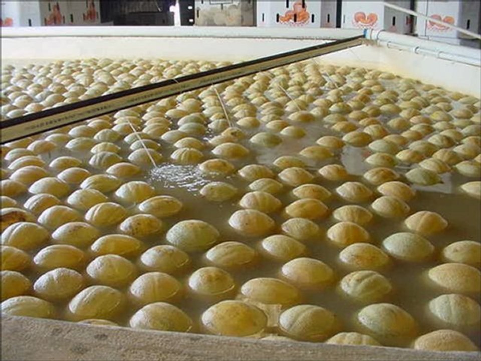 “Fresh Produce Wash Water Good Agricultural Practices GAPs” with Trevor Suslow