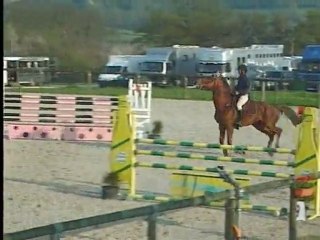 PIKATCHOU D'ORCHIS LE PIN 6A