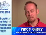 Carpet Cleaning Salt Lake City - What's living in my carpet