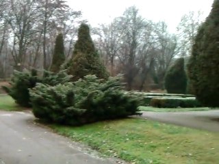 Białystok w zimne dni .