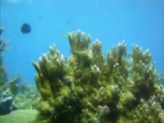 hire a luxury boat turkey