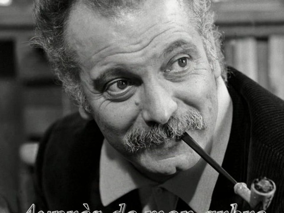 Georges Brassens-Auprès de mon arbre