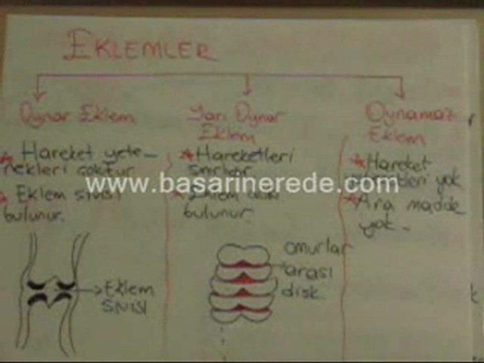 DESTEK VE HAREKET SİSTEMİ