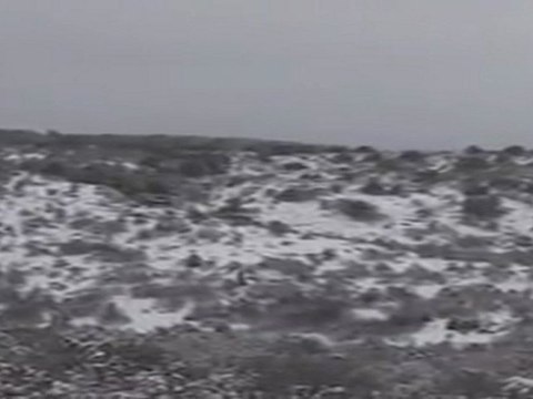 karlı bir gün tavşan avı