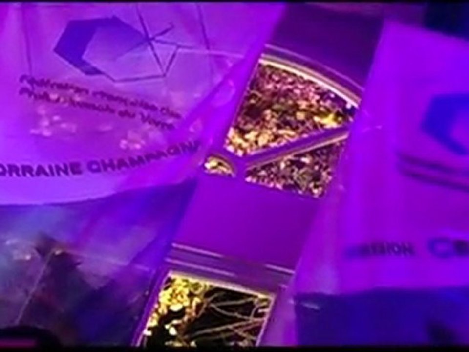 Les 20 ans de la FFPV !