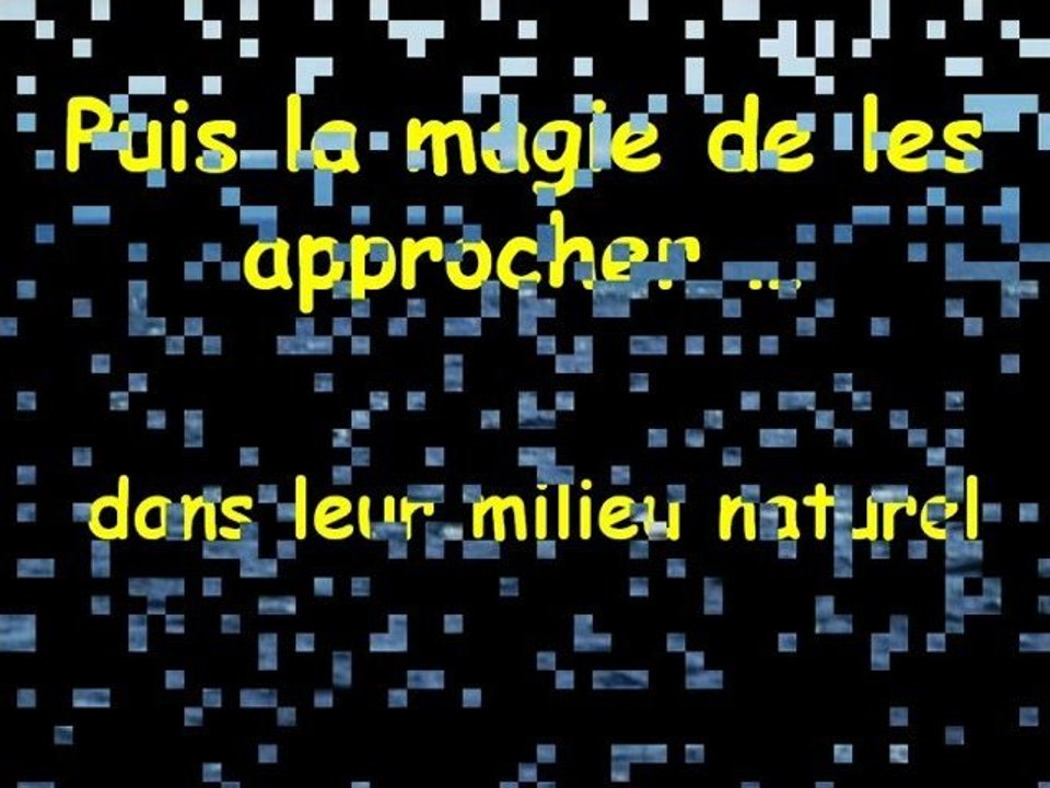 souvenirs de Tadoussac (Quebec 2011)