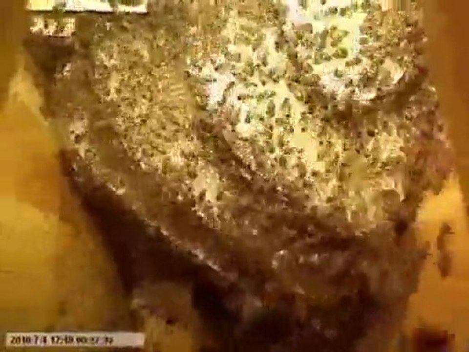 Arının kovana yerleşmesi ve kara kovan balının yapılışı