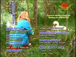 World Vegan, World Peace : A Conscious Choice - P2/10