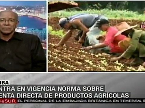 En vigor norma sobre venta directa de productos agrícolas