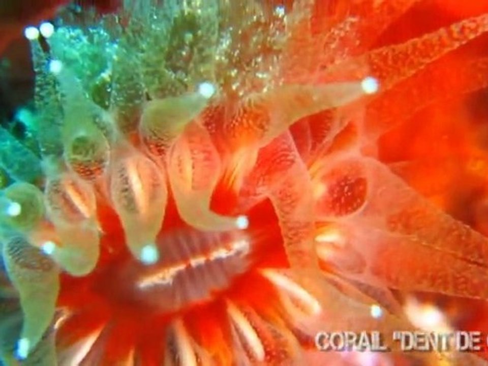 Couleurs de Méditerranée