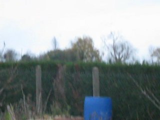 The Corneilles group