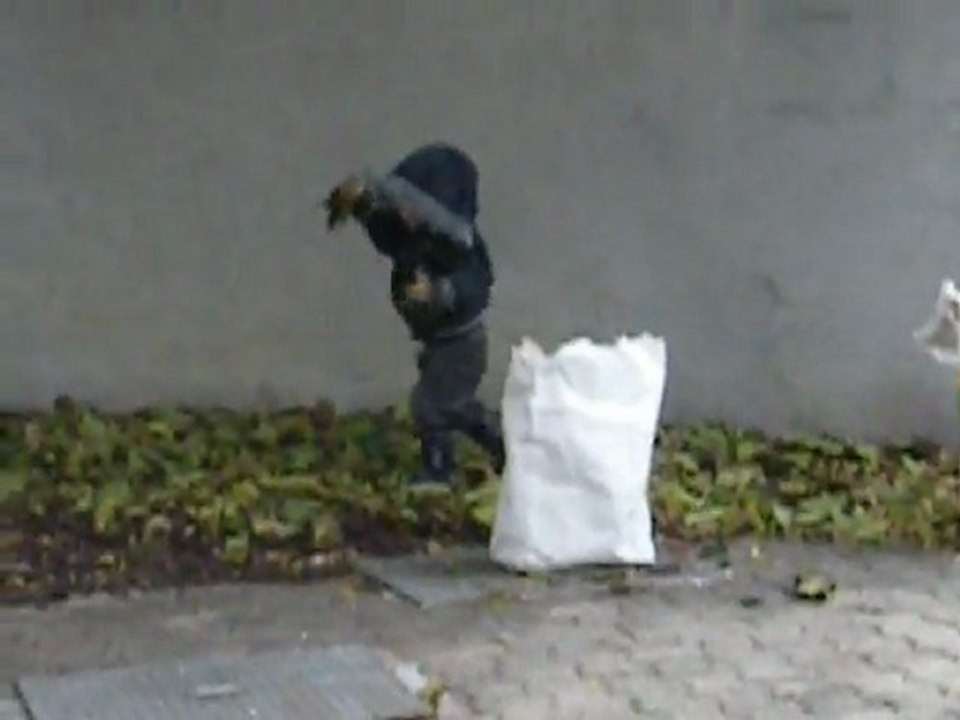 LES FEUILLES