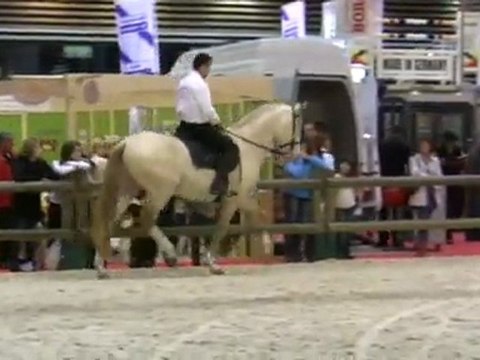 NAZARIO DE REPAND A EQUITA LYON 2011