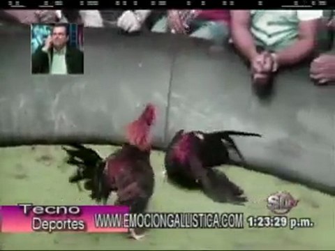 1era Parte Resumen TECNODEPORTES Martes 29-Nov.-2011 por Manuel Perelló.-