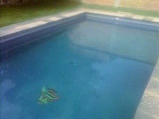 ECO POOL SANITIZER Las BONDADES DEL PRODUCTO