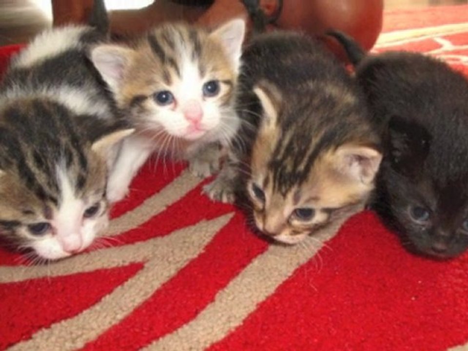 ça vient et ça s'en va